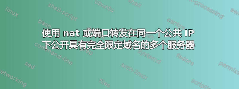 使用 nat 或端口转发在同一个公共 IP 下公开具有完全限定域名的多个服务器