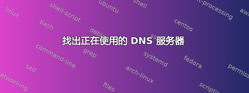 找出正在使用的 DNS 服务器