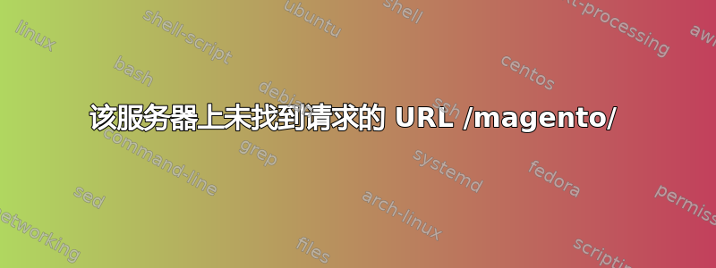 该服务器上未找到请求的 URL /magento/