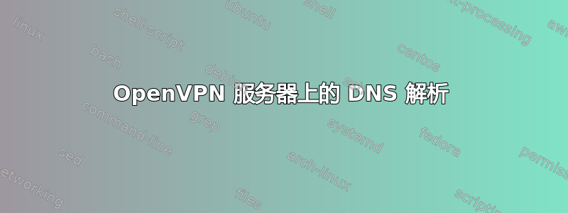 OpenVPN 服务器上的 DNS 解析