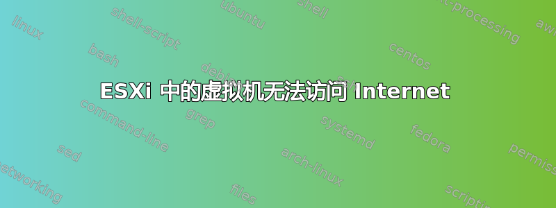 ESXi 中的虚拟机无法访问 Internet