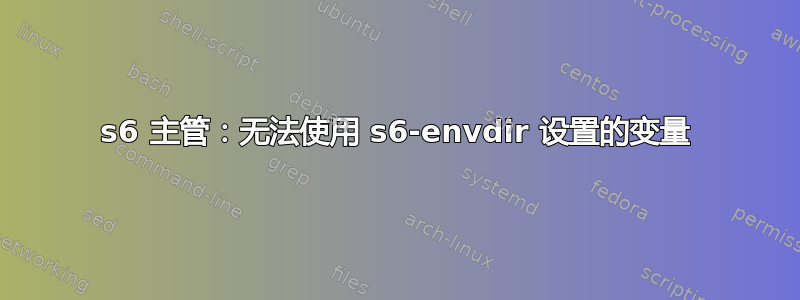 s6 主管：无法使用 s6-envdir 设置的变量