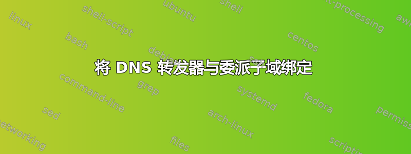 将 DNS 转发器与委派子域绑定