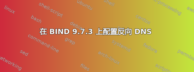 在 BIND 9.7.3 上配置反向 DNS