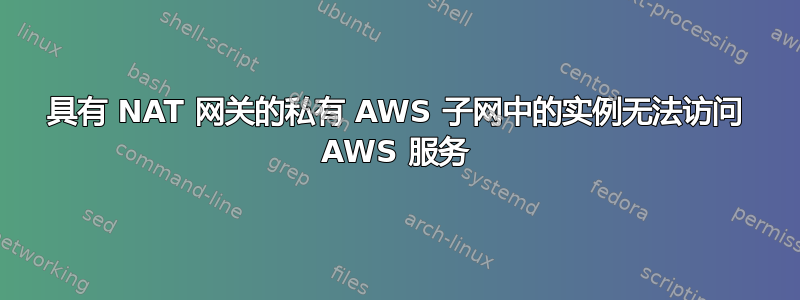 具有 NAT 网关的私有 AWS 子网中的实例无法访问 AWS 服务