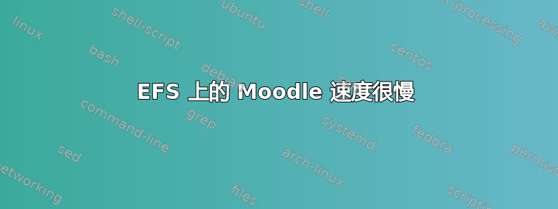 EFS 上的 Moodle 速度很慢