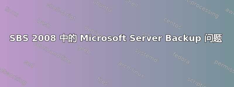 SBS 2008 中的 Microsoft Server Backup 问题