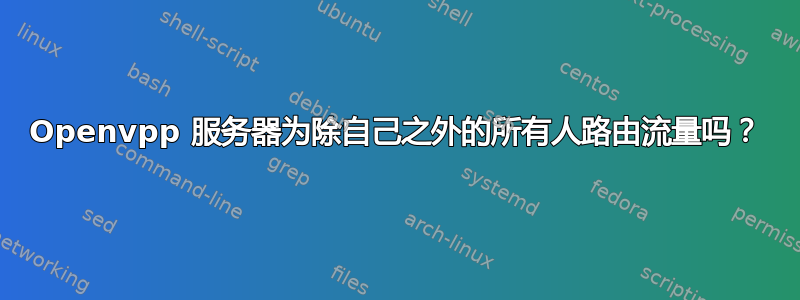 Openvpp 服务器为除自己之外的所有人路由流量吗？