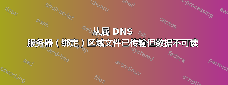 从属 DNS 服务器（绑定）区域文件已传输但数据不可读