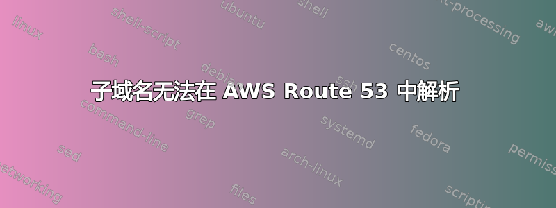 子域名无法在 AWS Route 53 中解析