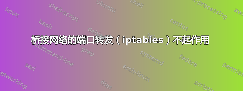 桥接网络的端口转发（iptables）不起作用