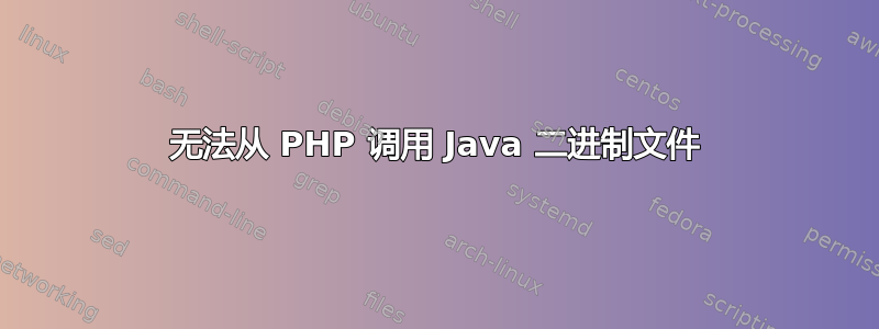 无法从 PHP 调用 Java 二进制文件