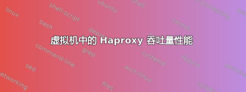 虚拟机中的 Haproxy 吞吐量性能