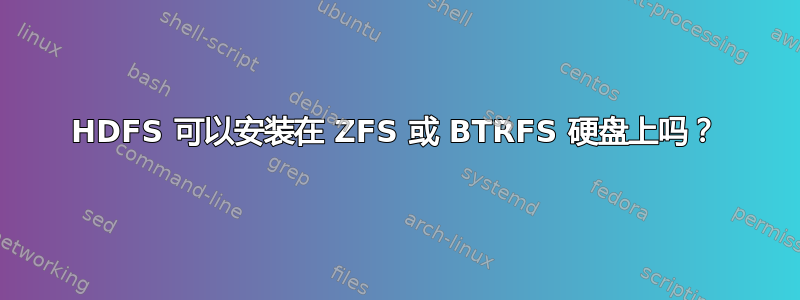 HDFS 可以安装在 ZFS 或 BTRFS 硬盘上吗？