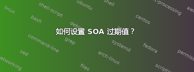 如何设置 SOA 过期值？