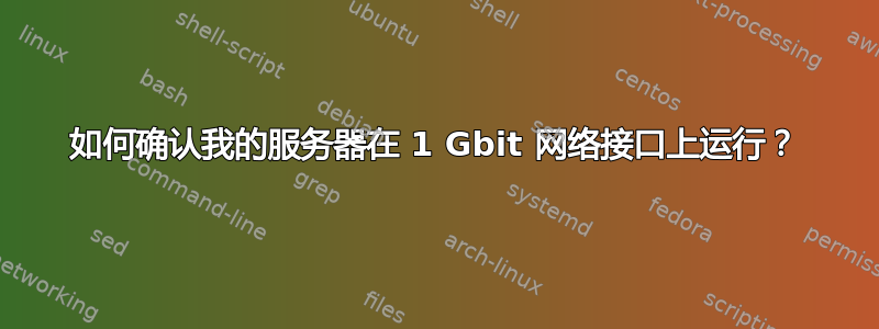 如何确认我的服务器在 1 Gbit 网络接口上运行？