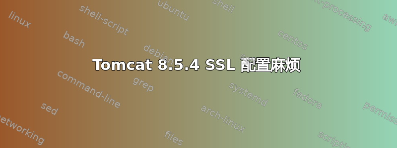 Tomcat 8.5.4 SSL 配置麻烦