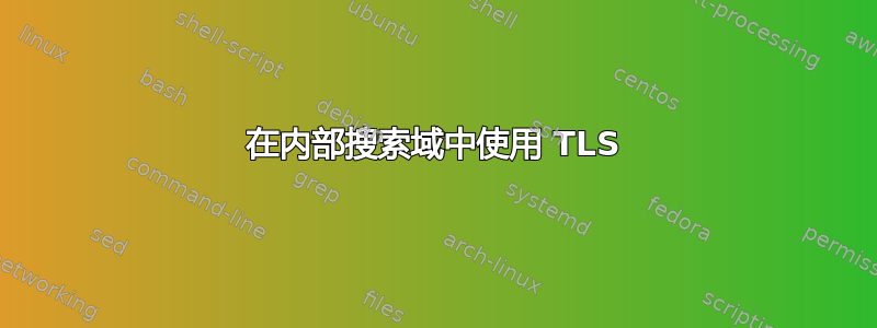 在内部搜索域中使用 TLS