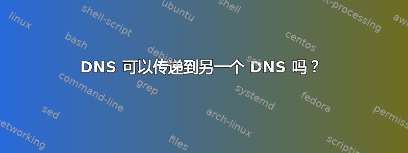 DNS 可以传递到另一个 DNS 吗？