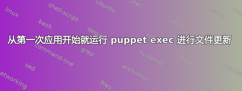 从第一次应用开始就运行 puppet exec 进行文件更新