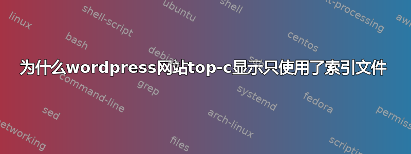 为什么wordpress网站top-c显示只使用了索引文件