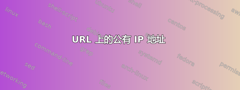 URL 上的公有 IP 地址