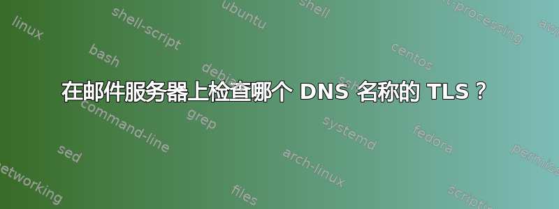 在邮件服务器上检查哪个 DNS 名称的 TLS？