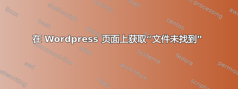 在 Wordpress 页面上获取“文件未找到”