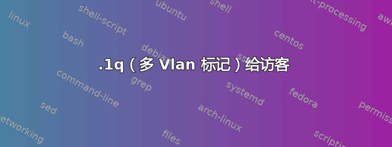 802.1q（多 Vlan 标记）给访客