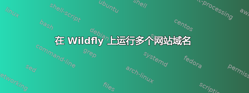 在 Wildfly 上运行多个网站域名