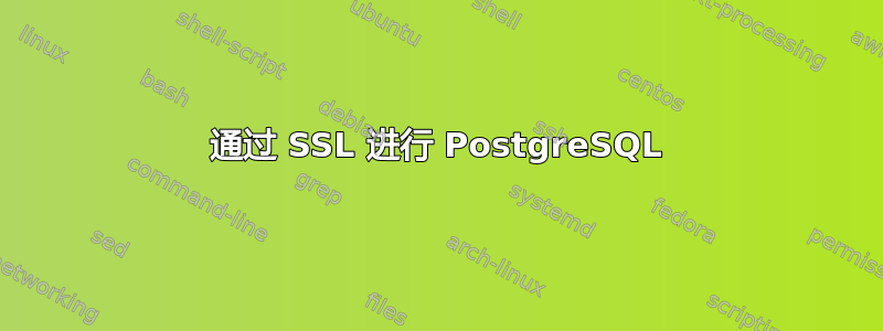 通过 SSL 进行 PostgreSQL