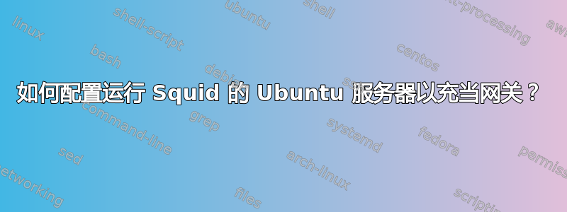 如何配置运行 Squid 的 Ubuntu 服务器以充当网关？