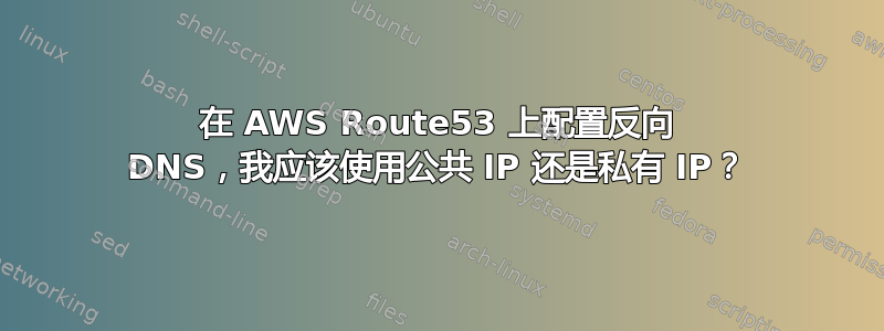 在 AWS Route53 上配置反向 DNS，我应该使用公共 IP 还是私有 IP？