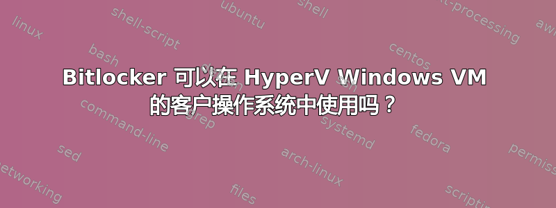 Bitlocker 可以在 HyperV Windows VM 的客户操作系统中使用吗？