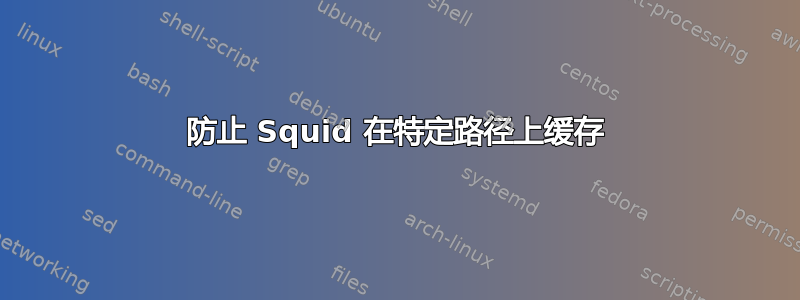 防止 Squid 在特定路径上缓存