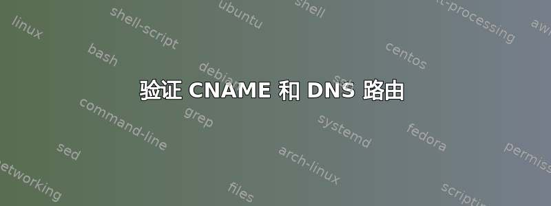 验证 CNAME 和 DNS 路由