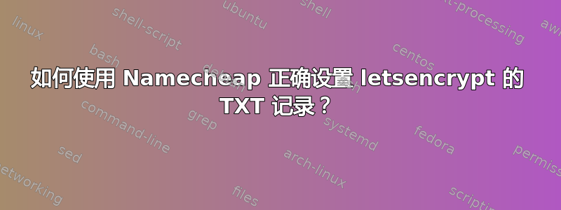 如何使用 Namecheap 正确设置 letsencrypt 的 TXT 记录？