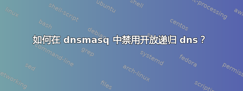 如何在 dnsmasq 中禁用开放递归 dns？