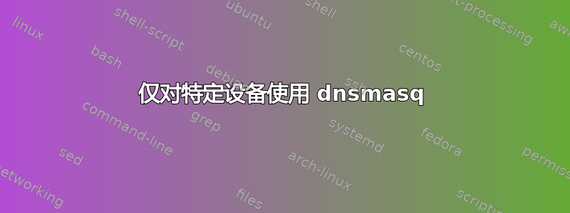 仅对特定设备使用 dnsmasq