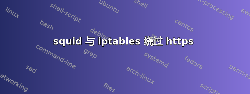 squid 与 iptables 绕过 https