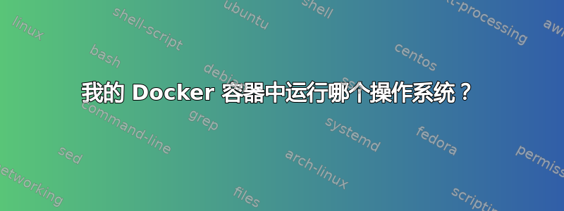 我的 Docker 容器中运行哪个操作系统？