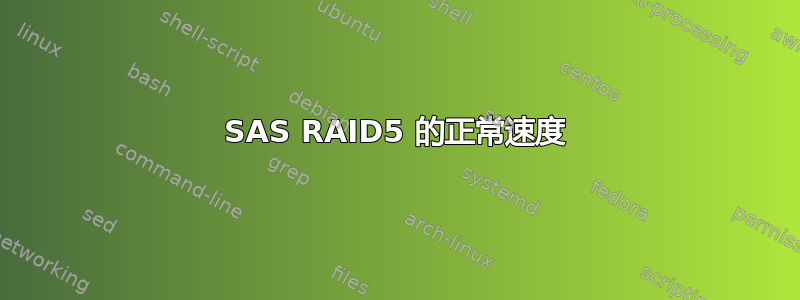 SAS RAID5 的正常速度