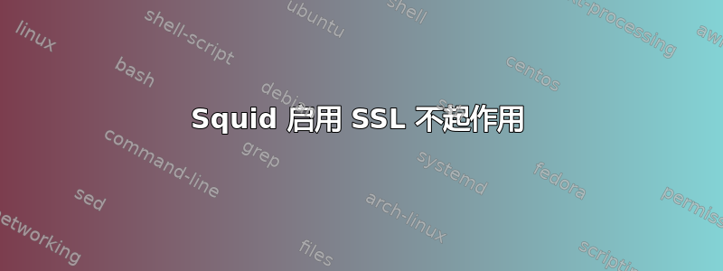 Squid 启用 SSL 不起作用