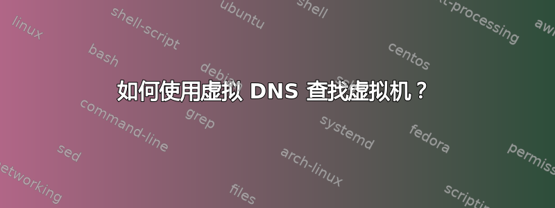 如何使用虚拟 DNS 查找虚拟机？