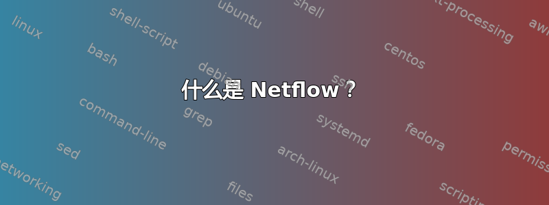 什么是 Netflow？