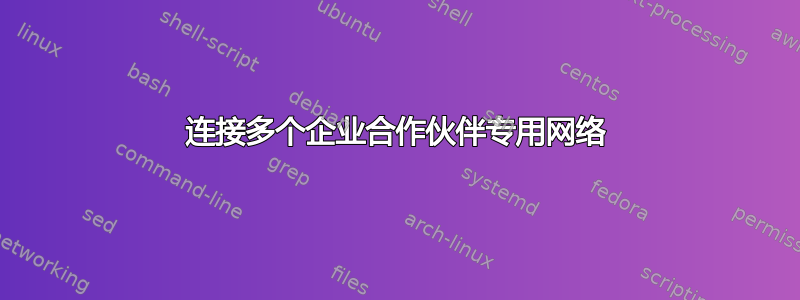 连接多个企业合作伙伴专用网络