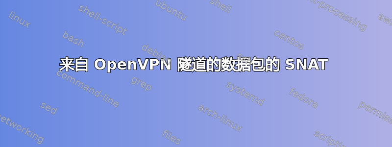 来自 OpenVPN 隧道的数据包的 SNAT