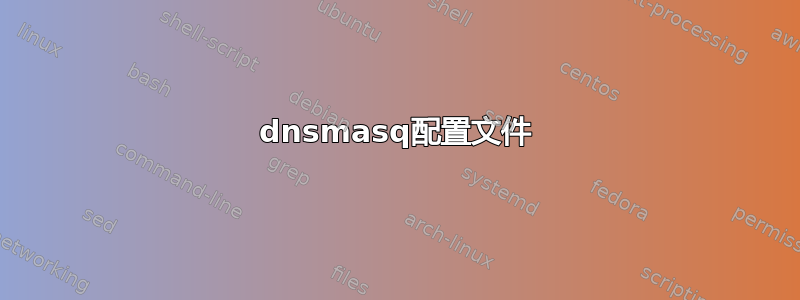 dnsmasq配置文件