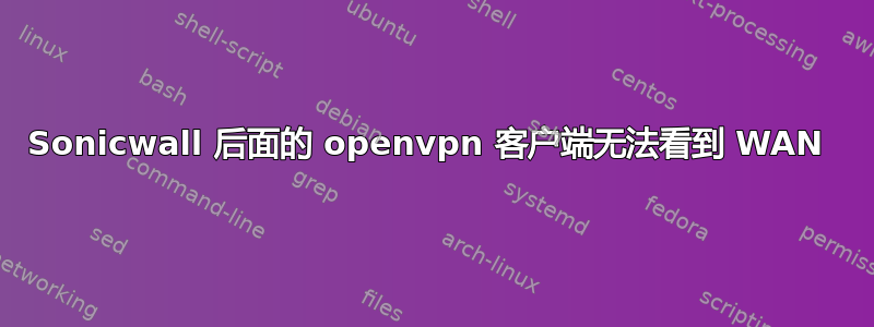 Sonicwall 后面的 openvpn 客户端无法看到 WAN 