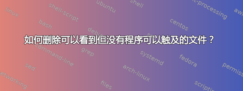 如何删除可以看到但没有程序可以触及的文件？